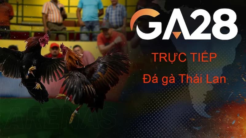 Đá gà GA28 tại 1Xbit: Theo dõi chọi gà gay cấn, cược hay 2 Đá gà GA28
